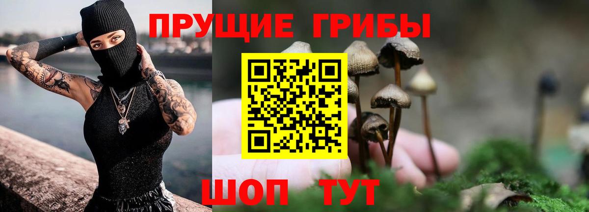 Псилоцибиновые грибы Magic Shrooms  как найти закладки  Димитровград  Псилоцибиновые грибы GOLDEN TEACHER  Вход с VPN 